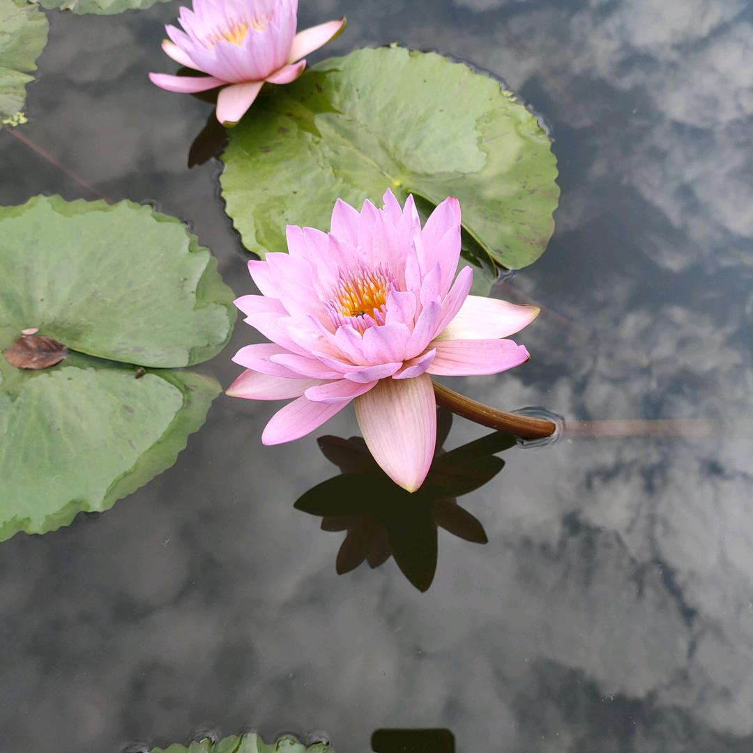 阳光
