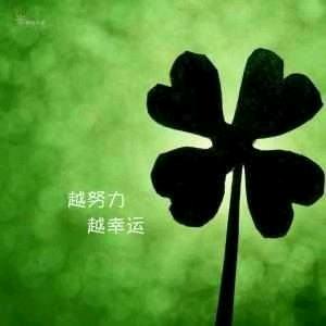 陆先生