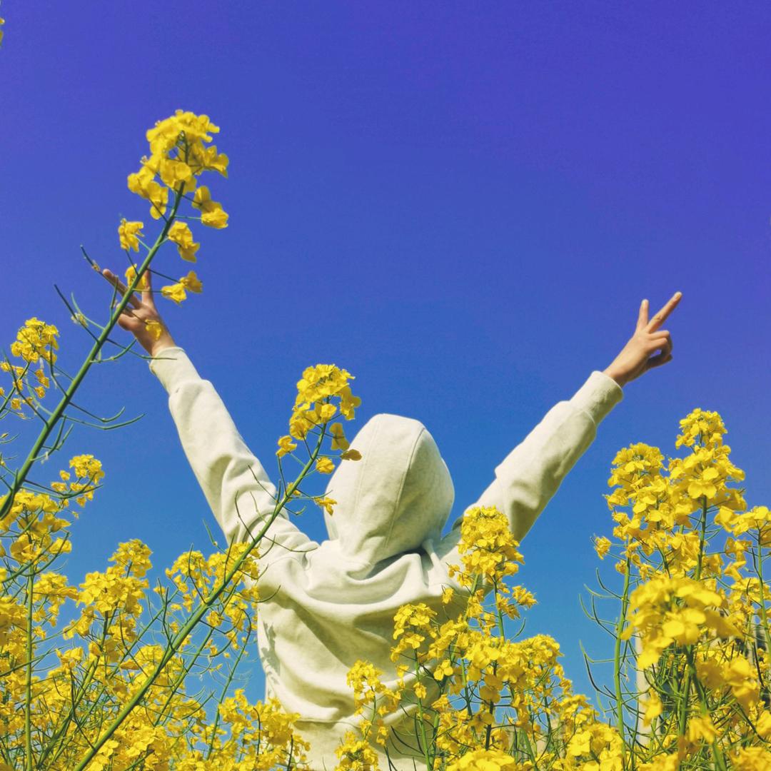 🌸林🍀林🌸