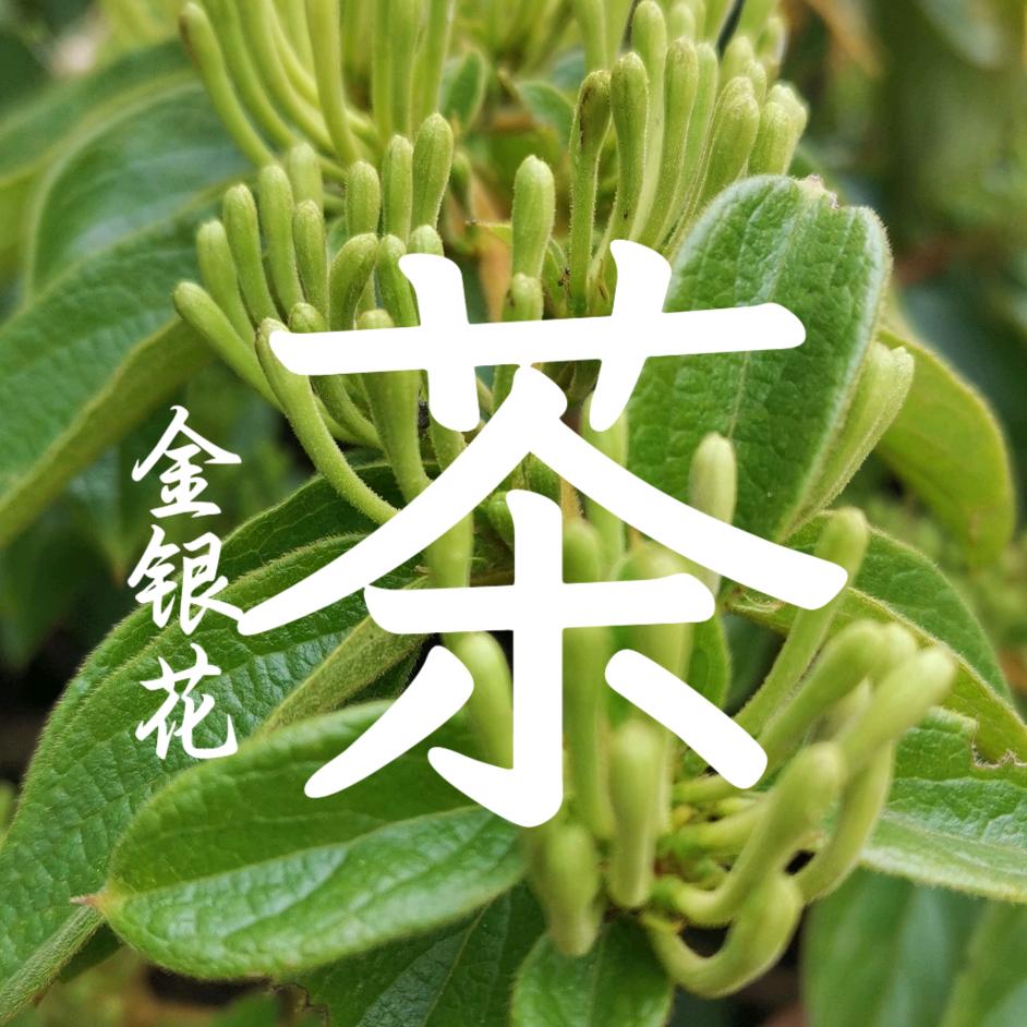 金银花茶小王