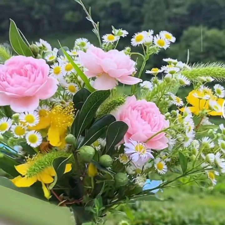 宁静