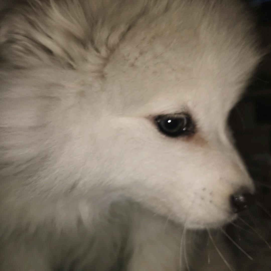 只对你温柔丷🌈🌈