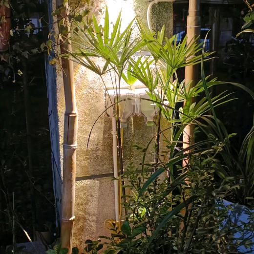 木小木