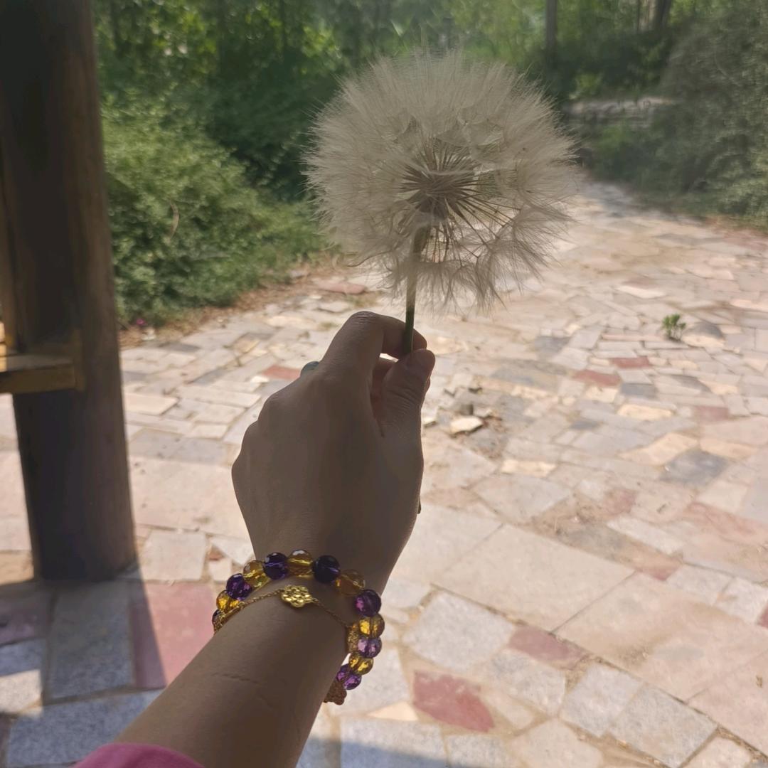 小小爱分享
