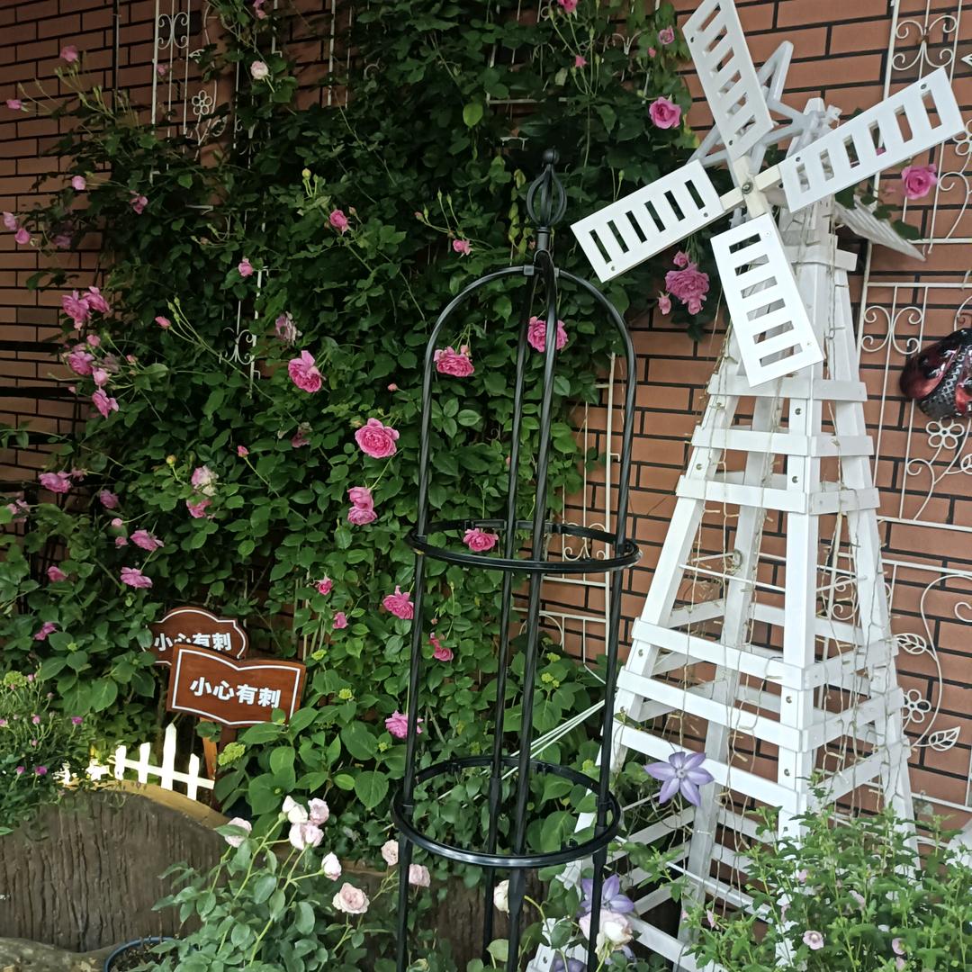 改变自我