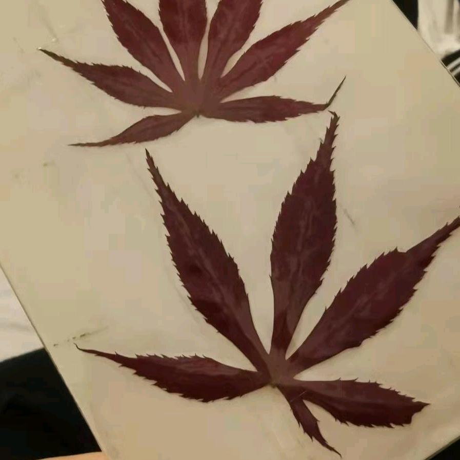 思情.W