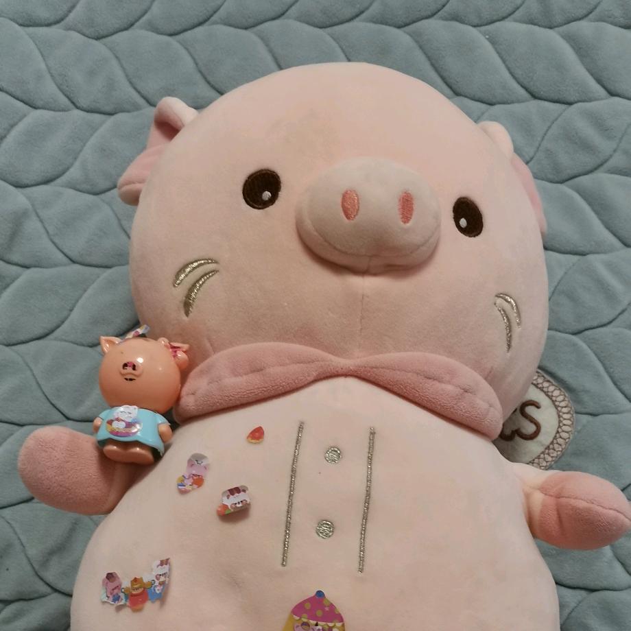 小知吾