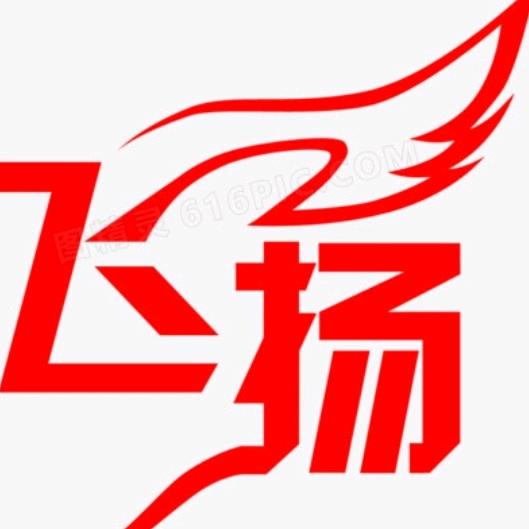 东台飞扬乒乓