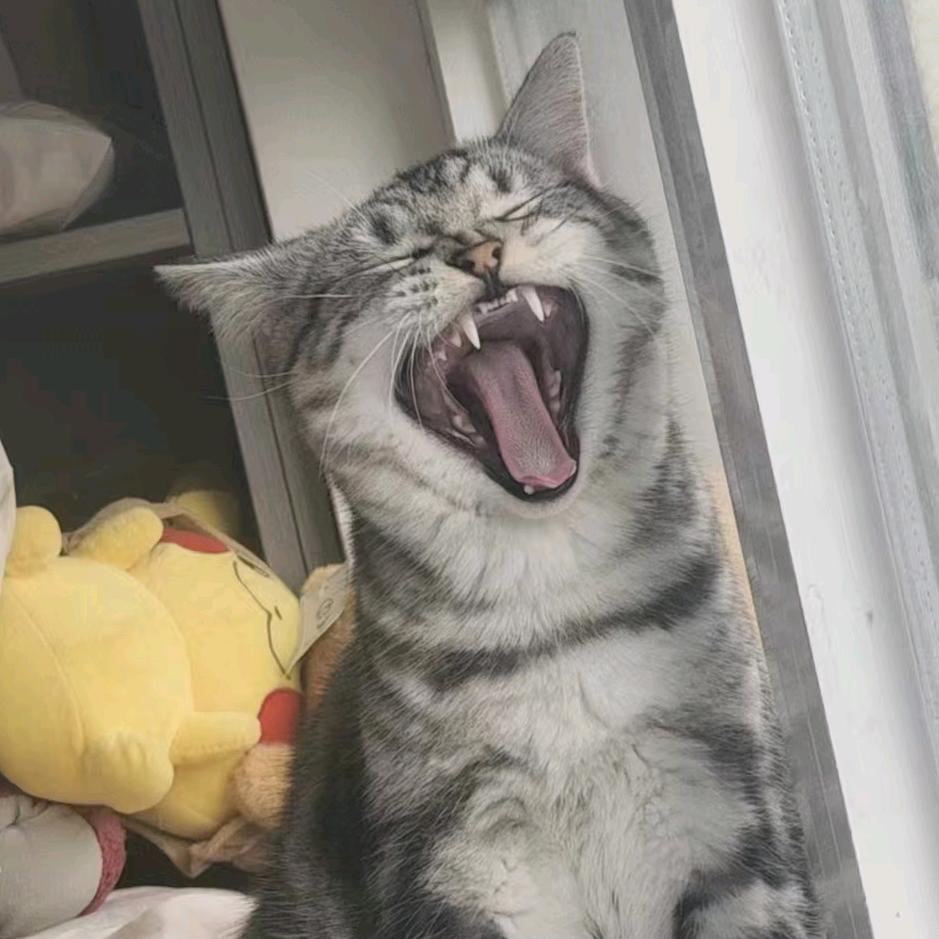 唯恐天下不乱（爱骑九号版）