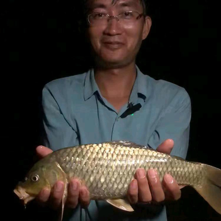 爱野钓小陈