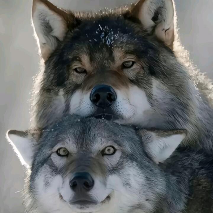 眼睛