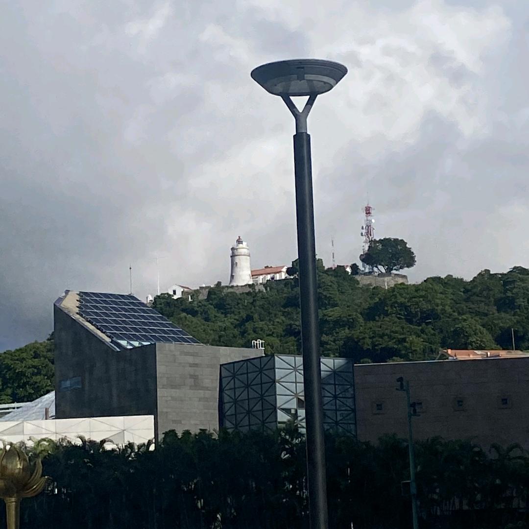 看不惯还干不掉