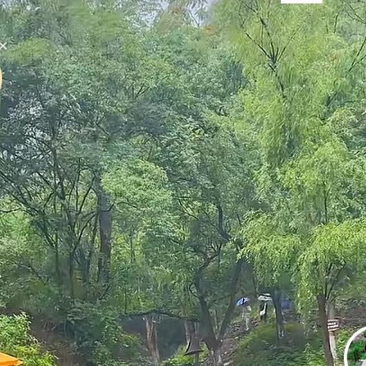 此号已注销