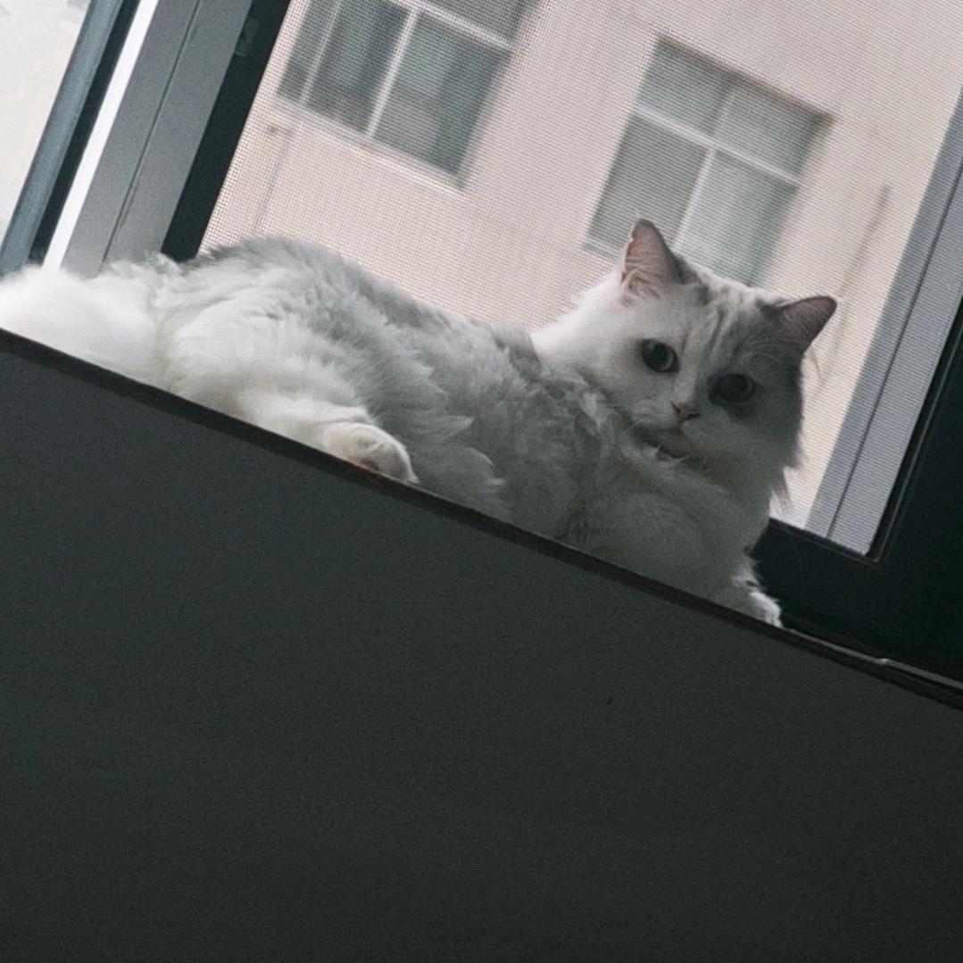 悟诶