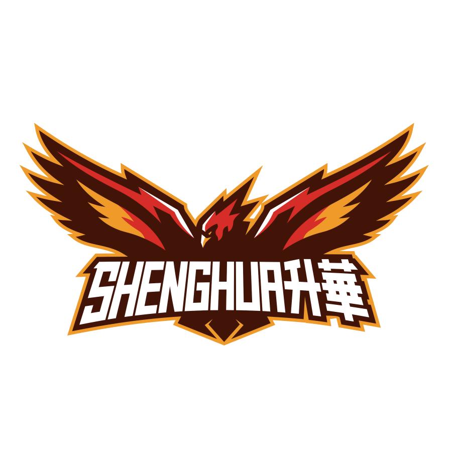 达州升华篮球中心