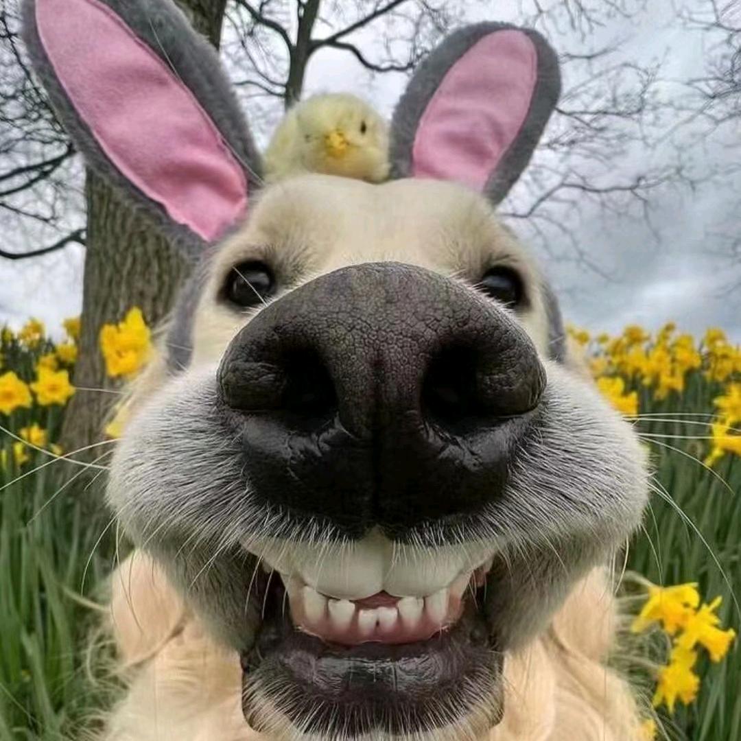 🌈Zozo