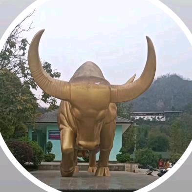 💗᭄余生ᝰᩚ随心ꦿ缅甸🇲🇲