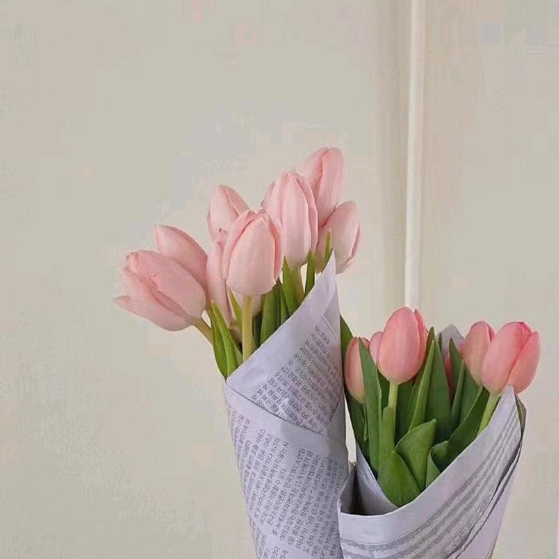 🌺🌹🌹最美的遇见🌼🌼🌺