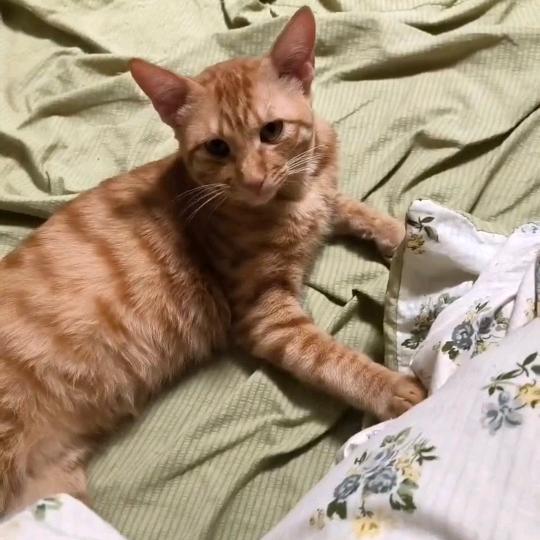七鱼渠