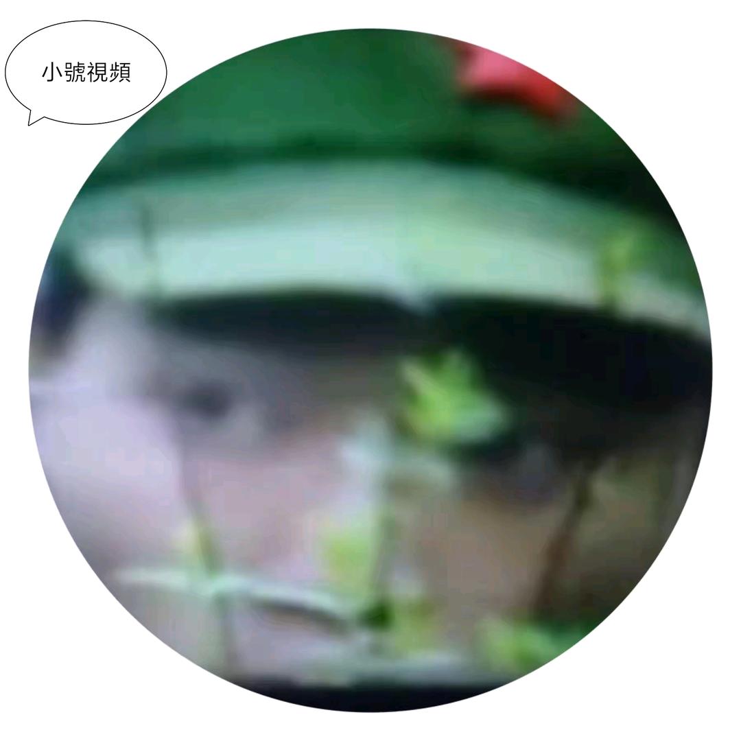小號