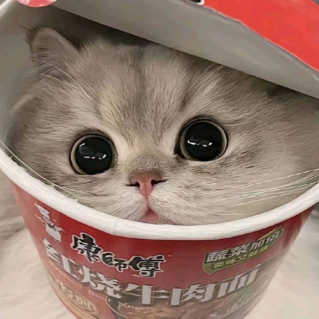 找不到