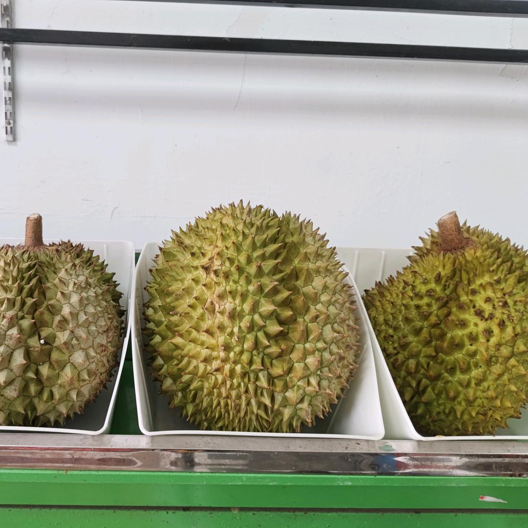 暖暖的阳光