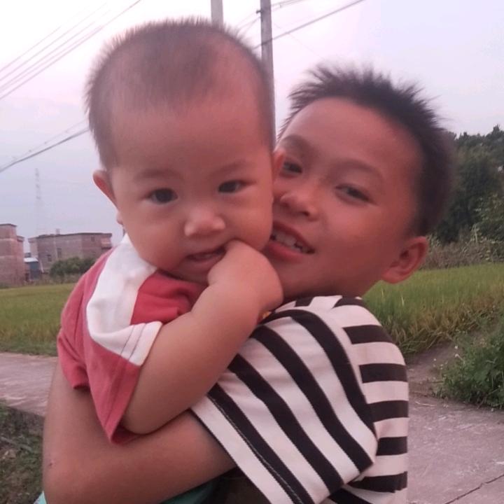 小龙宝