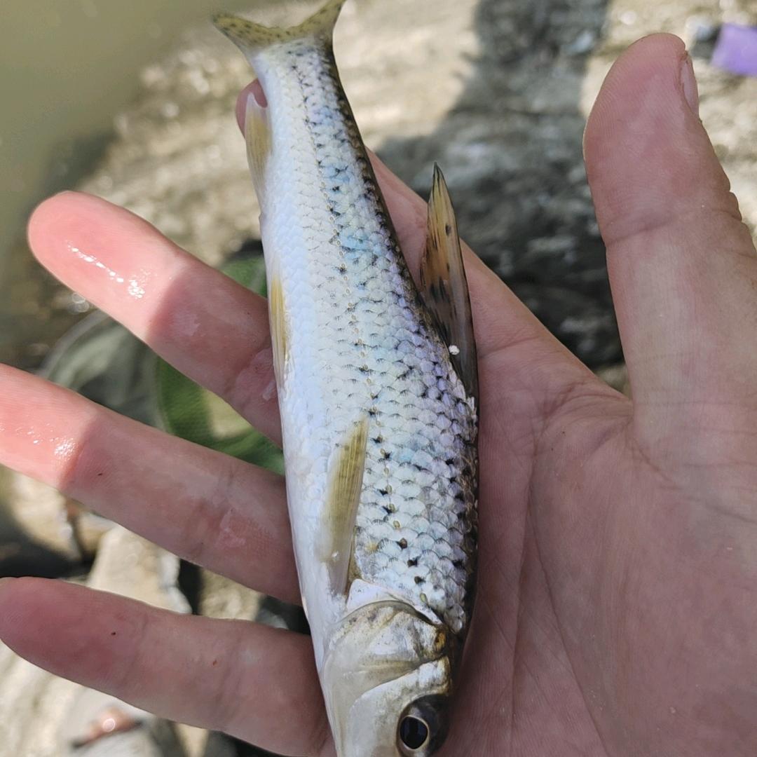 我的发