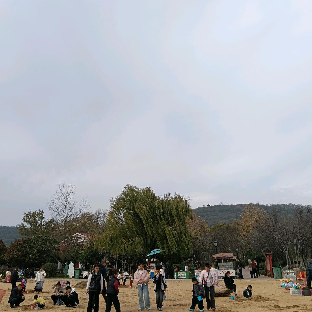 辉哥Plus