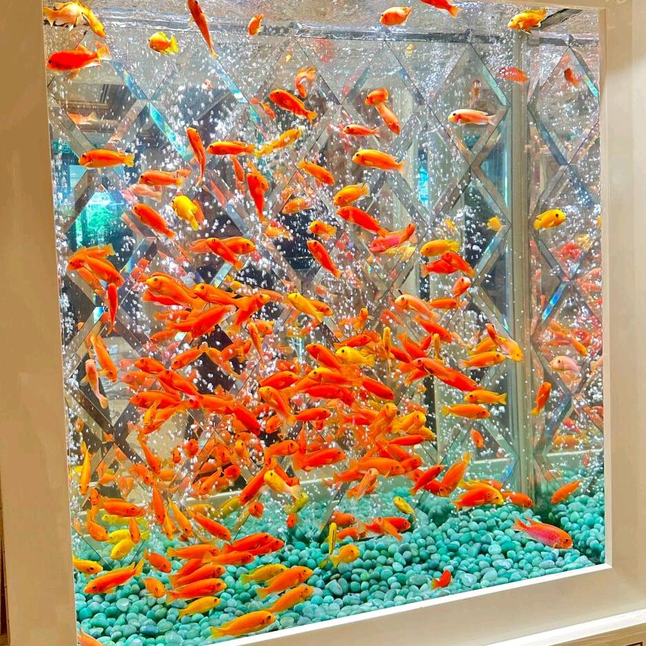 爱养鱼的薛老板🐟