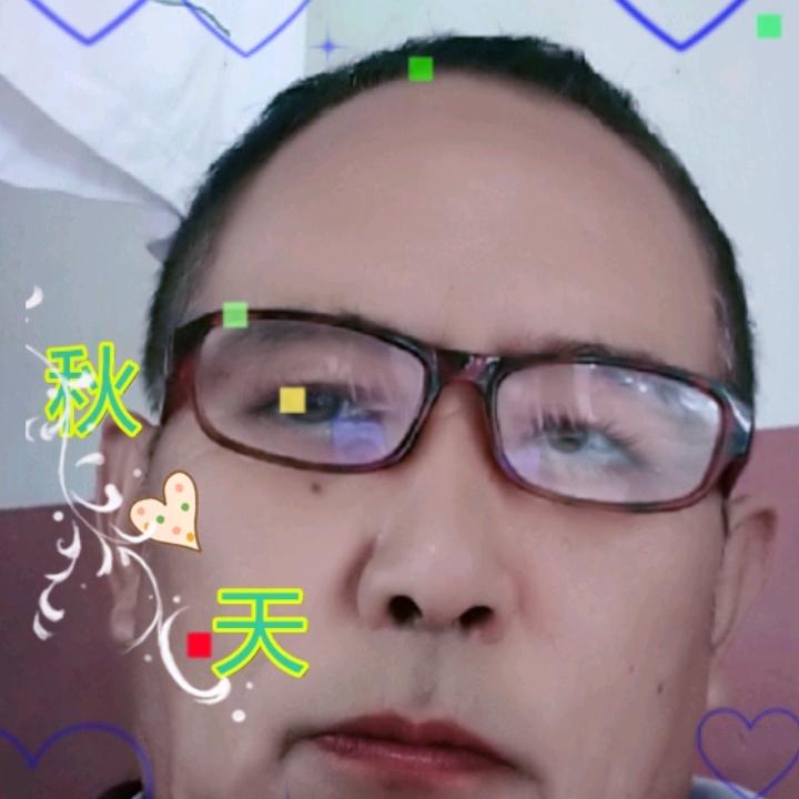 自游的魚