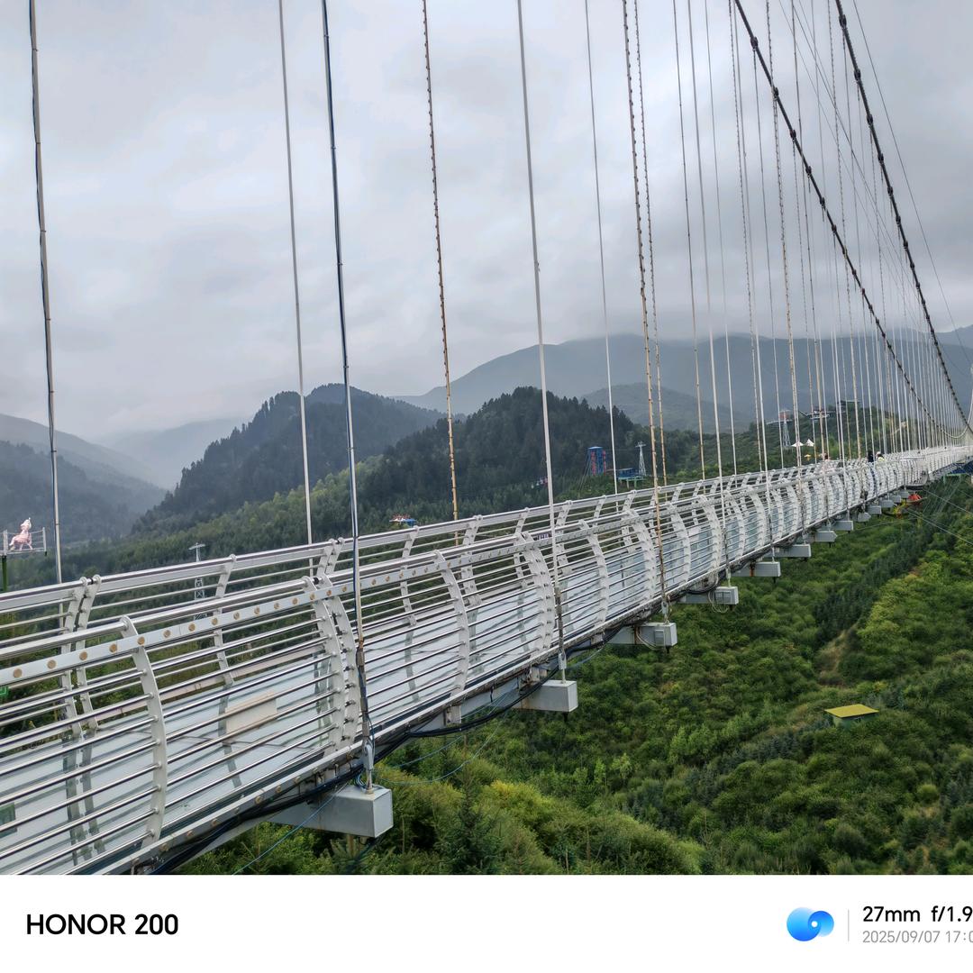 木森林🎋🎋🌸