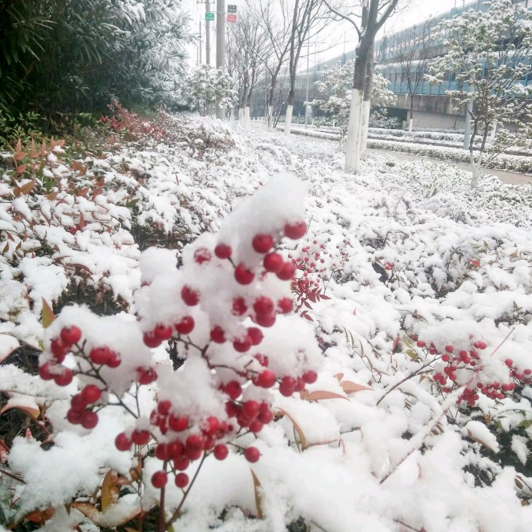烟 雨 江 南