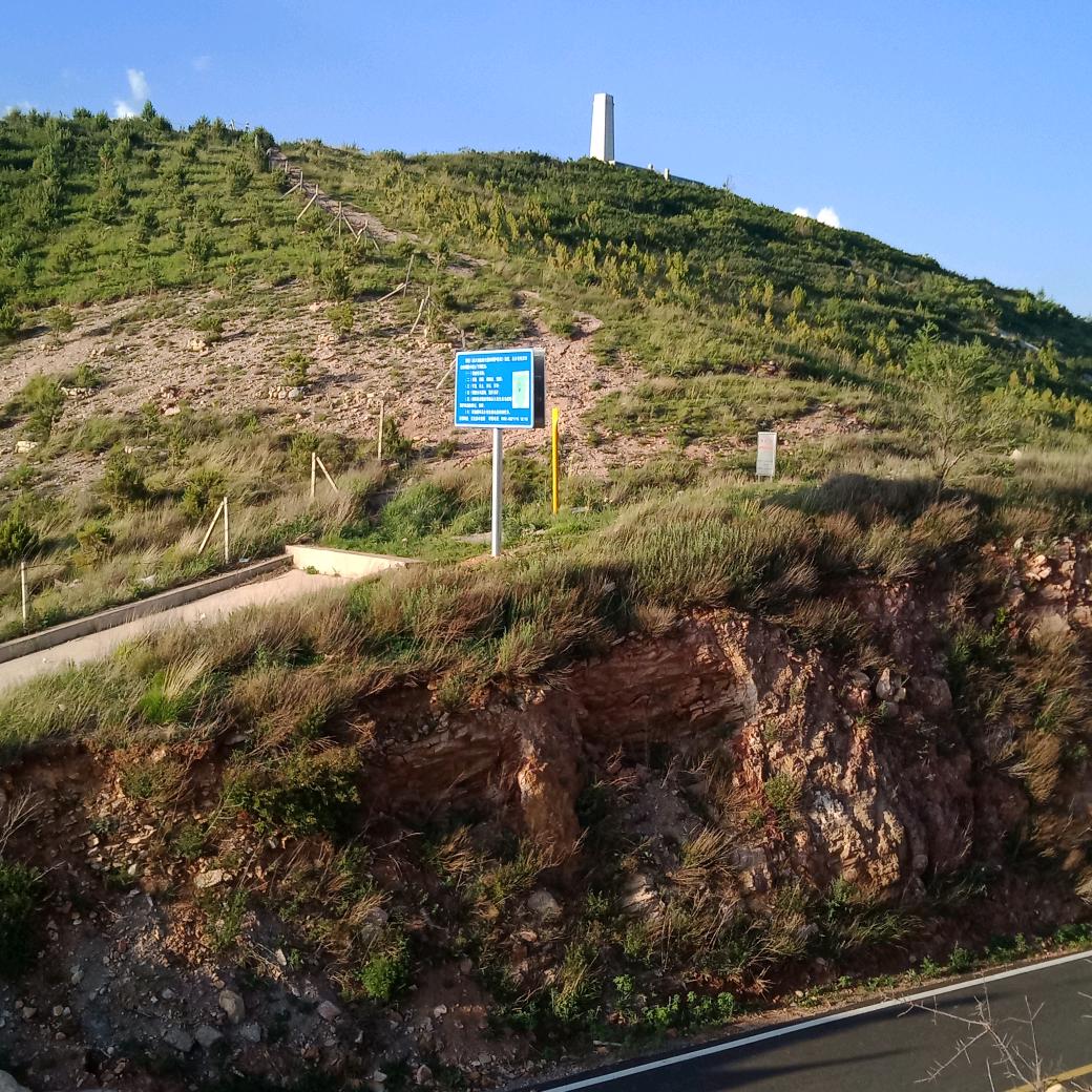 漂洋过海来看你