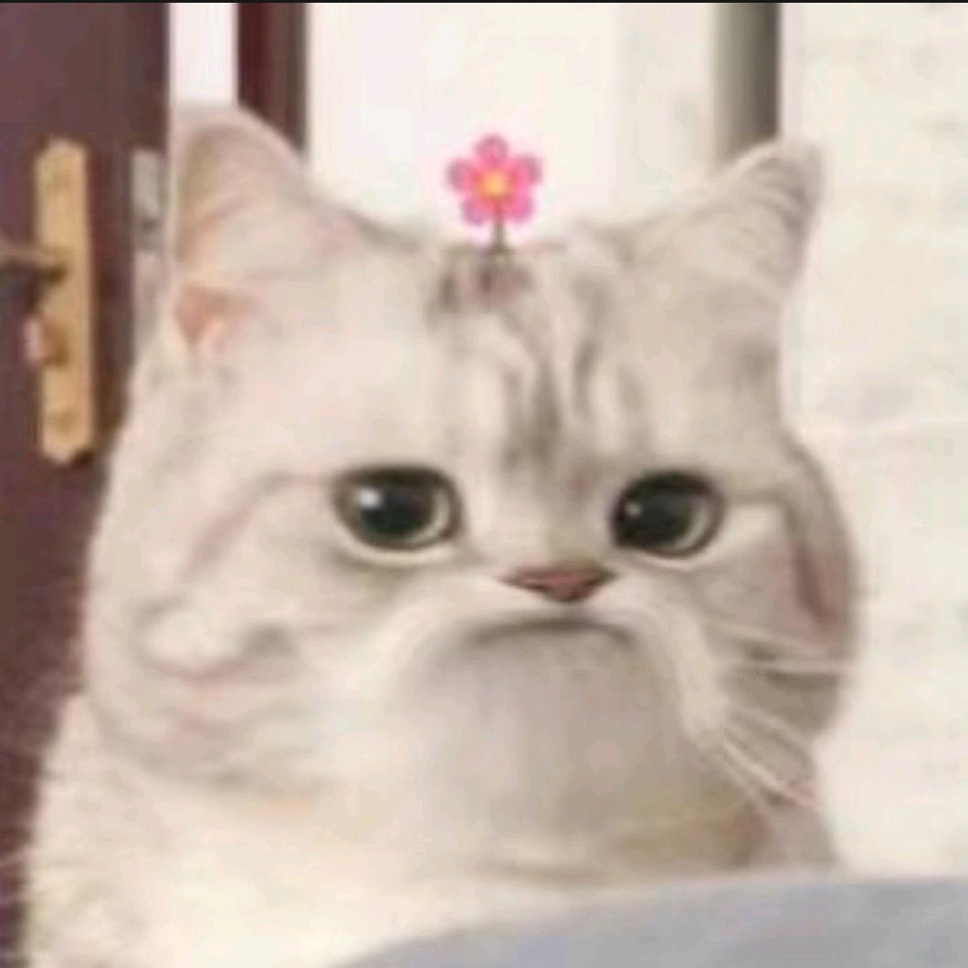 懒惰熊猫团子