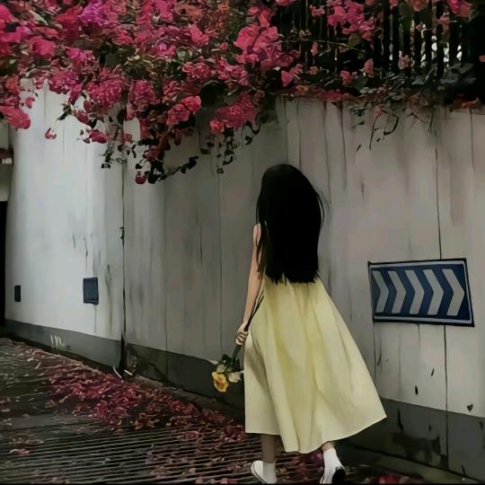 风雨彩虹
