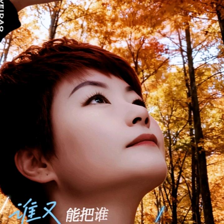 沉默53618678