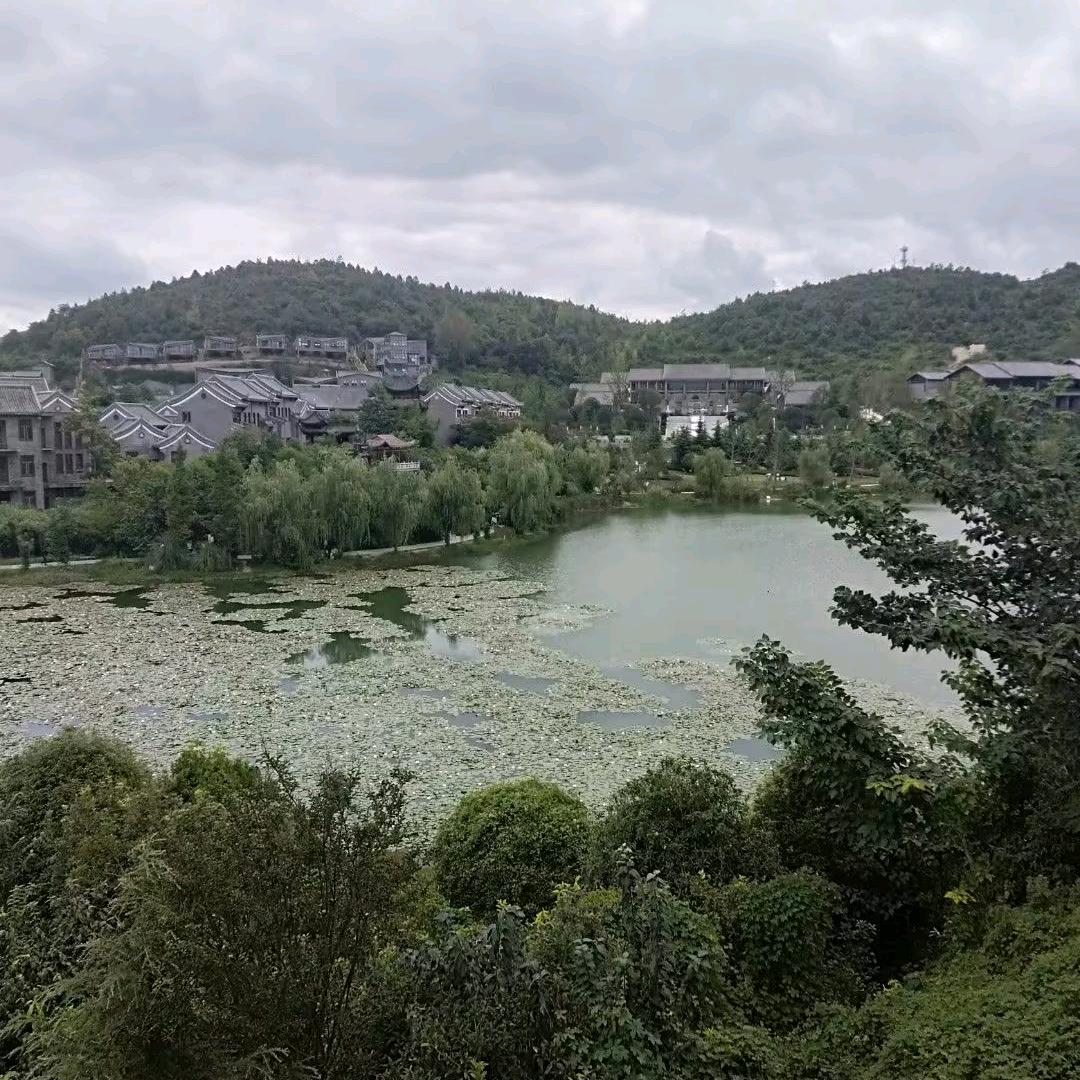 雨子