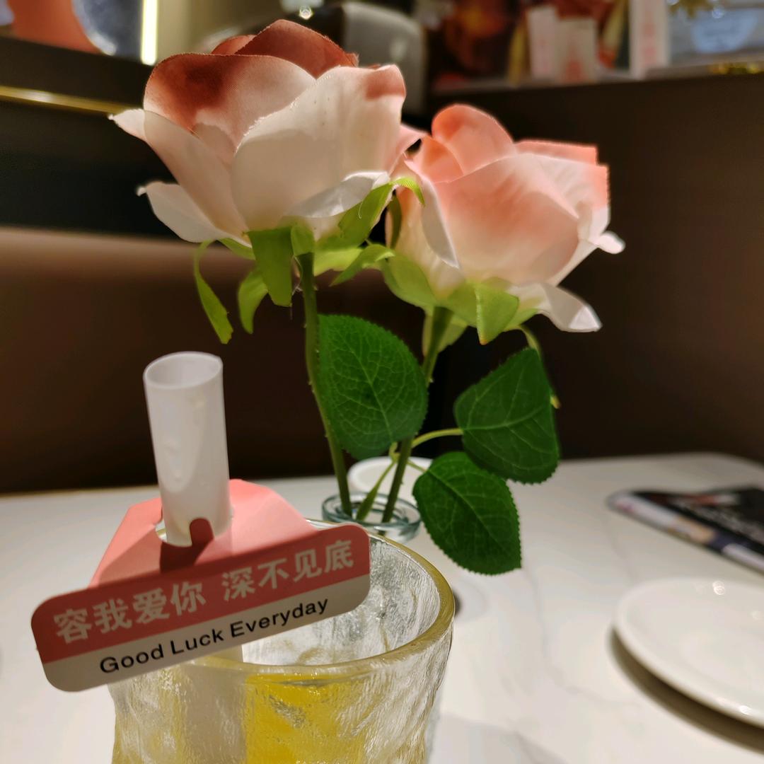 陆归贺