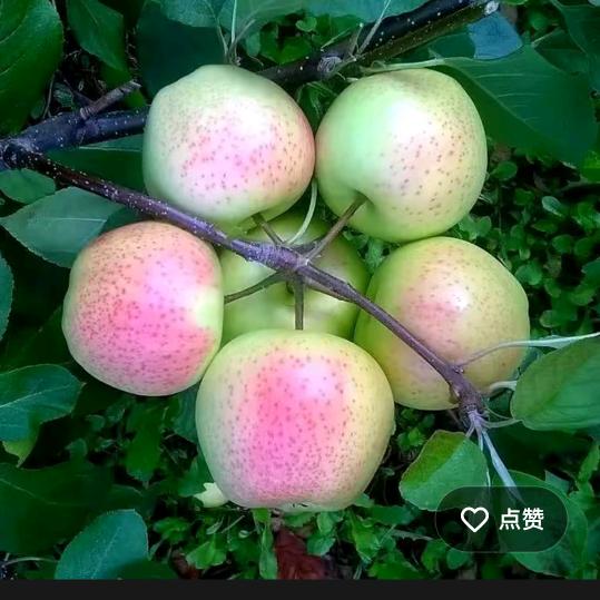 有缘才配珍惜