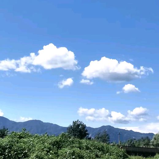 清醒