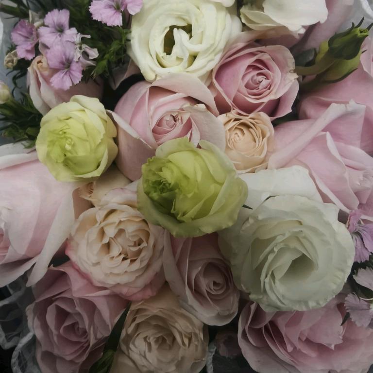 🌈🌈🌈加油（转软呼啦圈中）