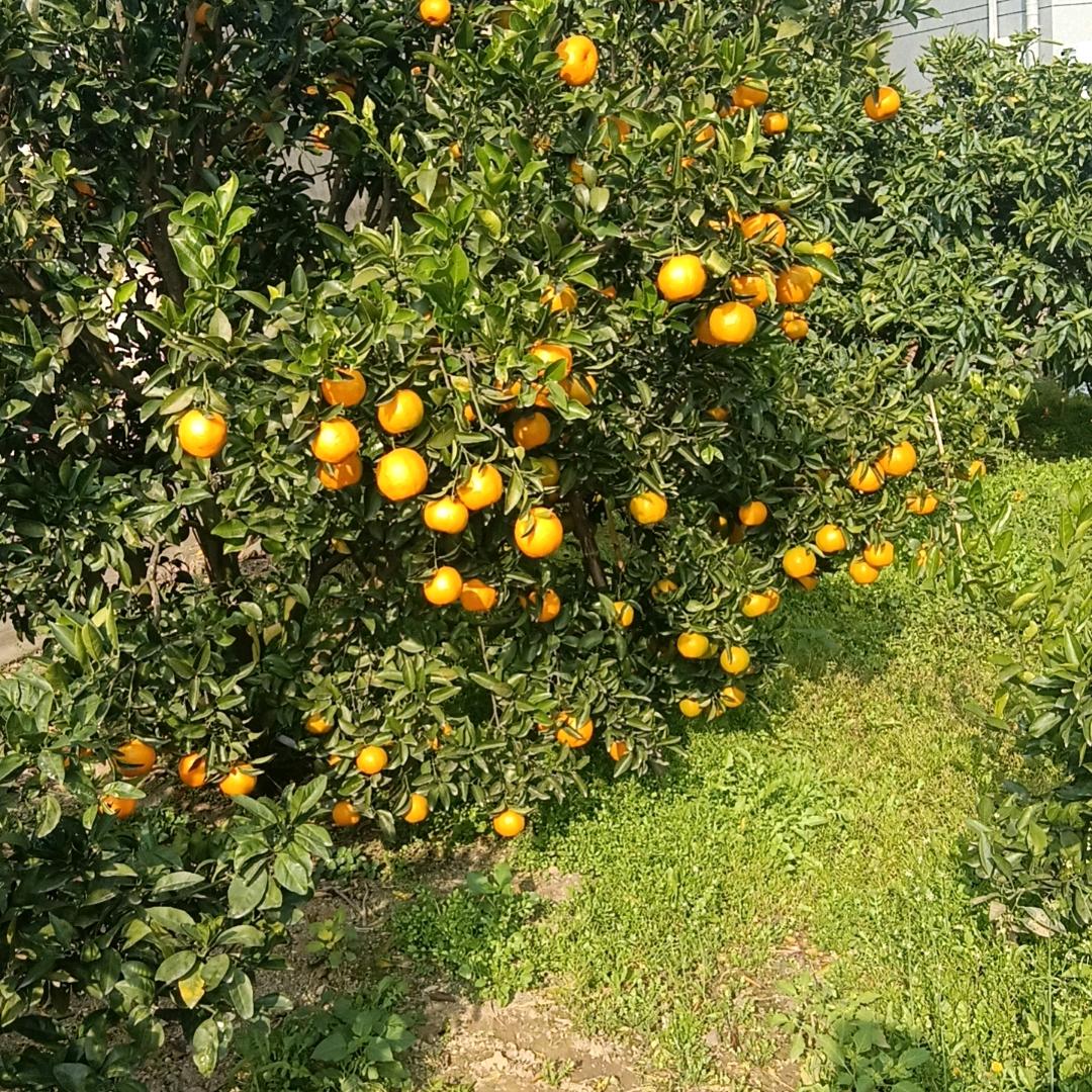 室内装修瓦工