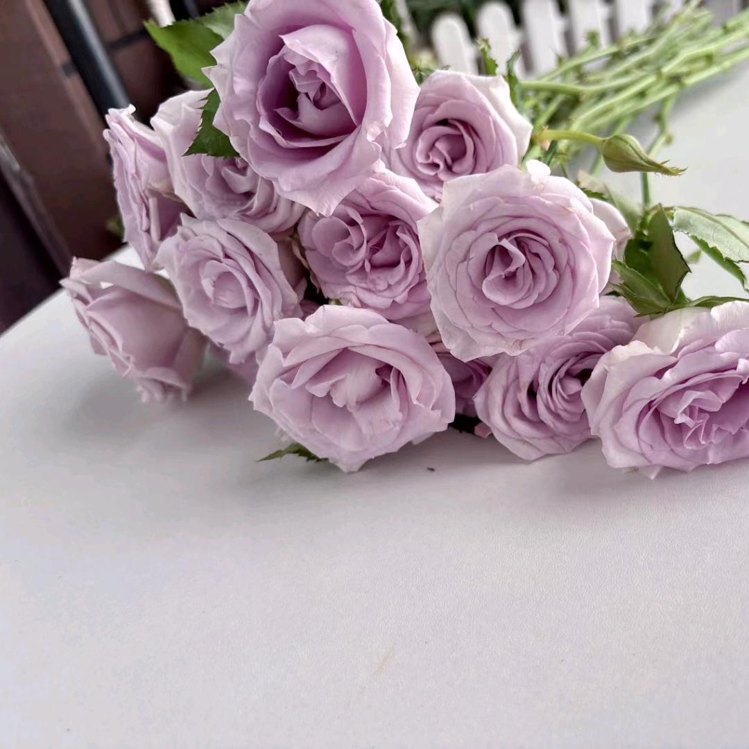 顺时山货土特产2号