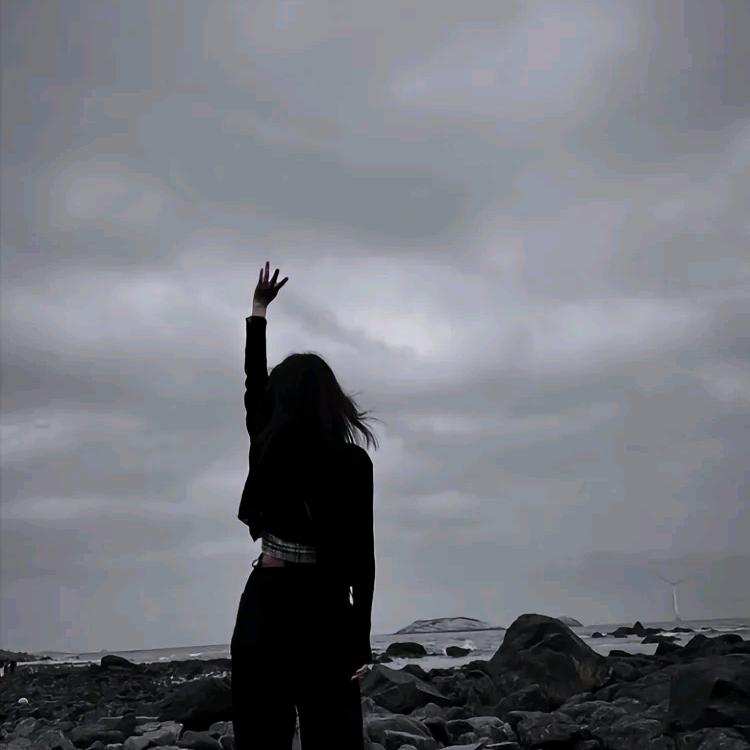 @野猫