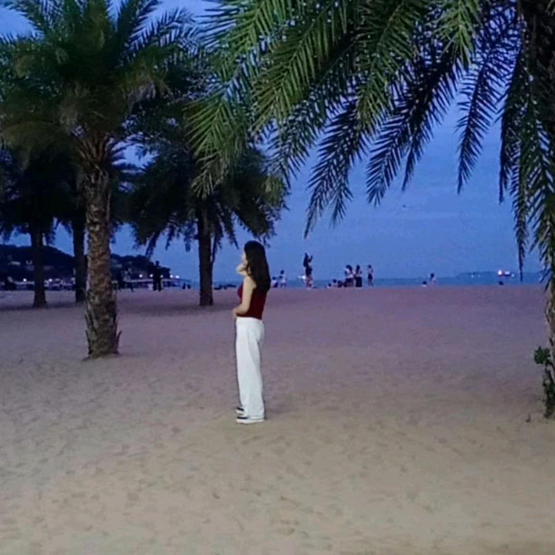 刘大小姐