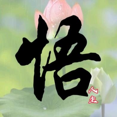 悟人生情感语录