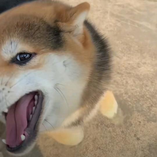 飘过