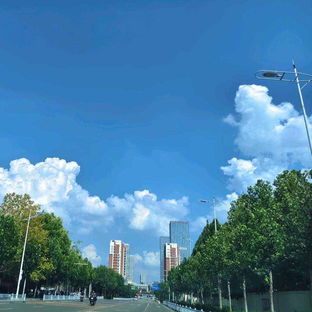 陈列道具--汪sir