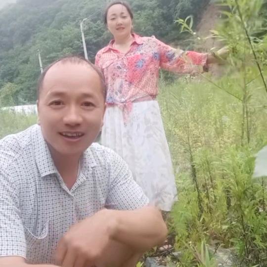 @马到成功@